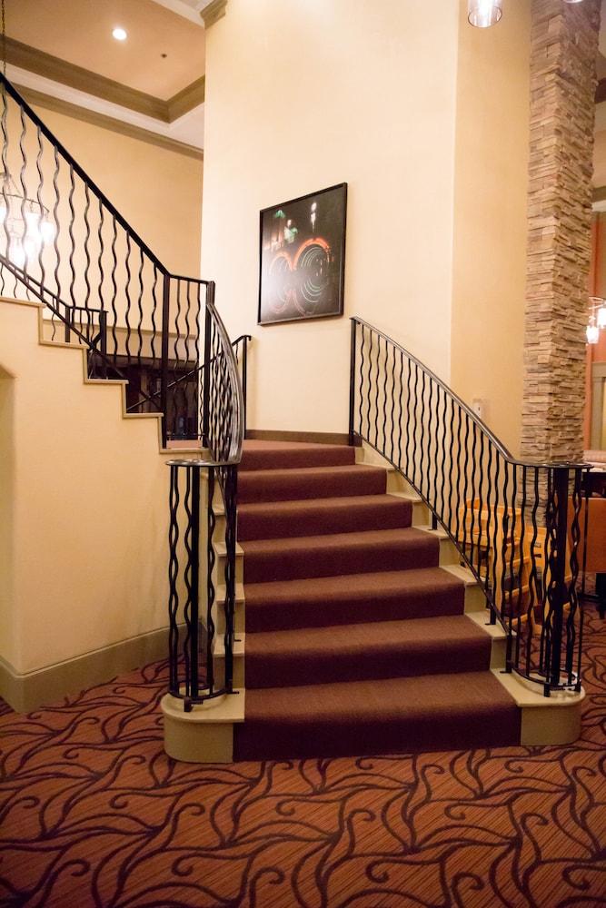 Homewood By Hilton Houston-woodlands-shenandoah The Woodlands